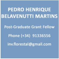 Pedro Henrique Belavenutti